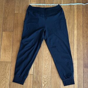 Patagonia happy hiker pants